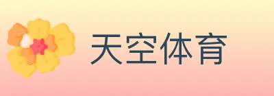 天空体育 logo